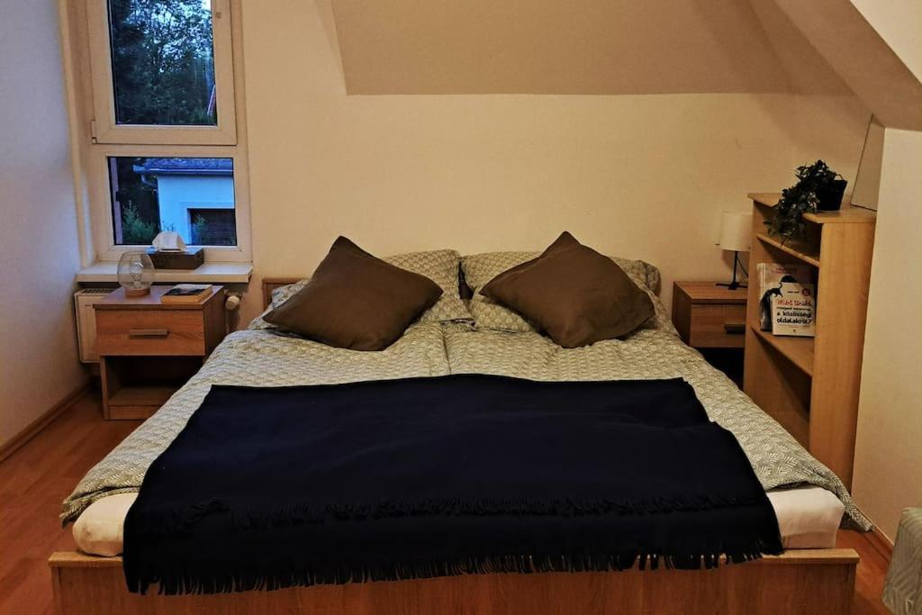 Zoeld Orom Apartman Lakas Göd Exteriör bild